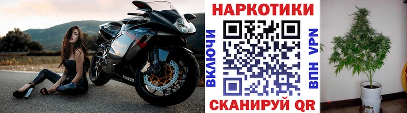 Где продают наркотики Олёкминск COCAIN Alpha-PVP НБОМе Бошки Шишки Мефедрон ГАШИШ