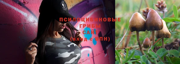 прущая мука Белокуриха