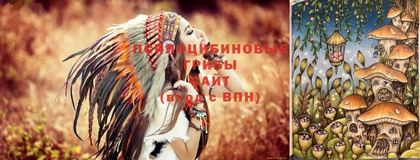мяу мяу кристалл Богданович